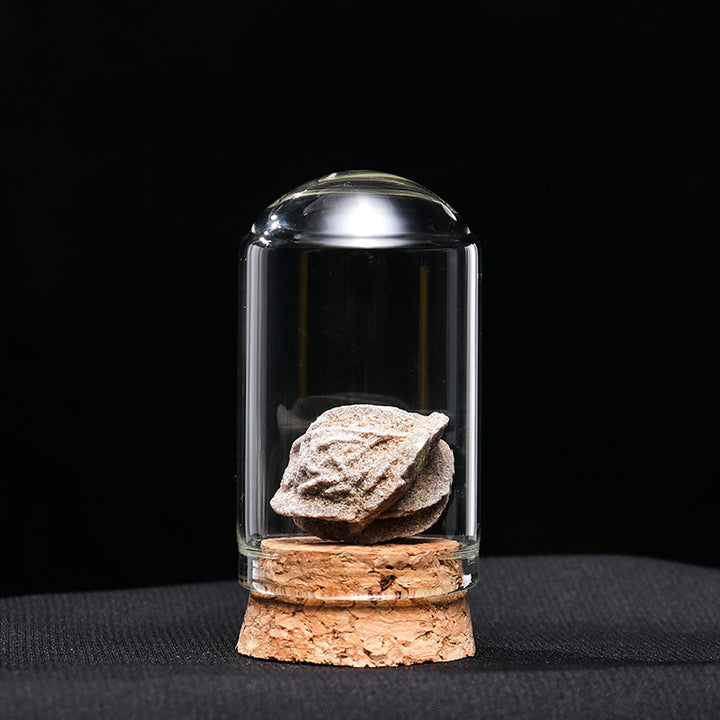 Adornos de muestra de mineral de cristal natural de Olivenorma 