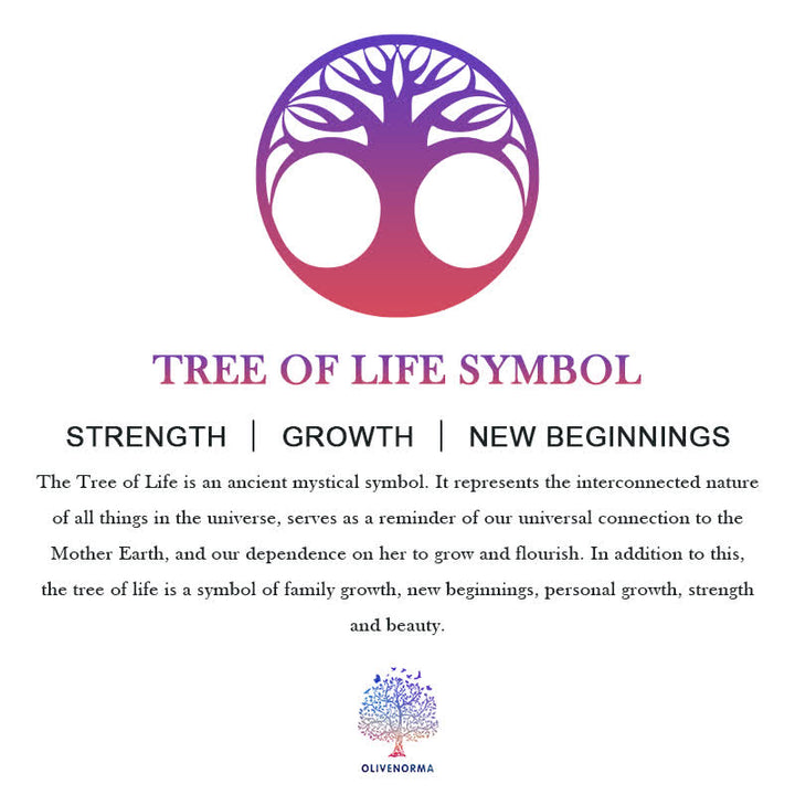 Atrapasueños con cuentas trenzadas del árbol de la vida de los chakras de Olivenorma