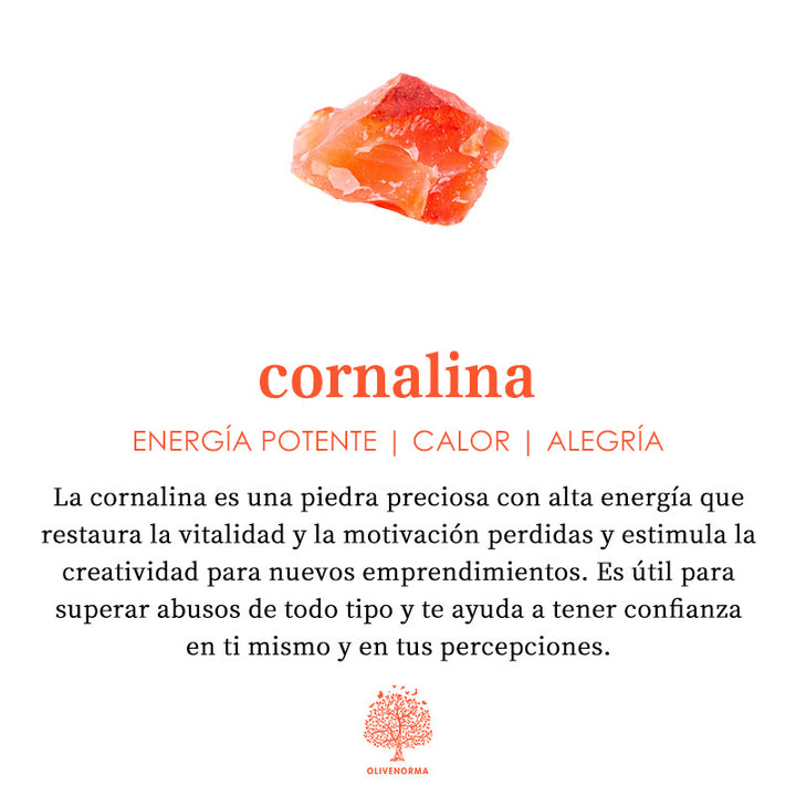 Collar de cristal con forma de bala y prisma hexagonal de cornalina de Olivenorma