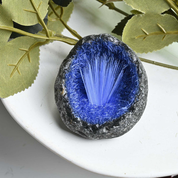 Racimo de mineral de pelo azul de Olivenorma , aguja, huevo, piedra preciosa decorativa