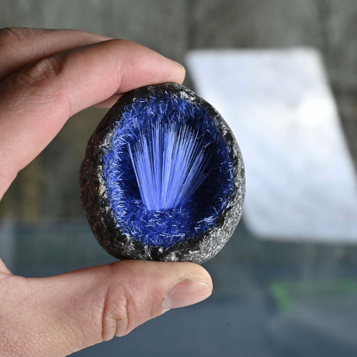 Racimo de mineral de pelo azul de Olivenorma , aguja, huevo, piedra preciosa decorativa
