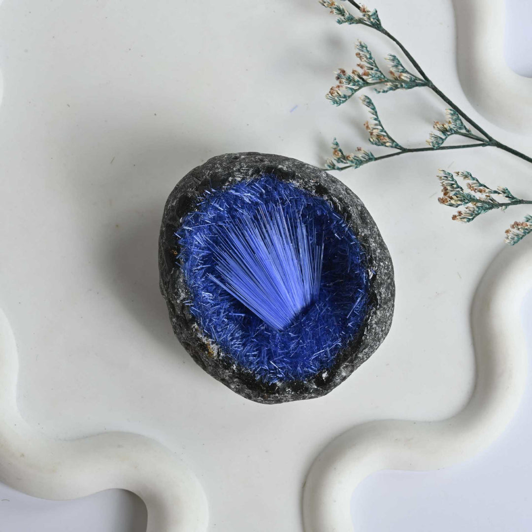 Racimo de mineral de pelo azul de Olivenorma , aguja, huevo, piedra preciosa decorativa