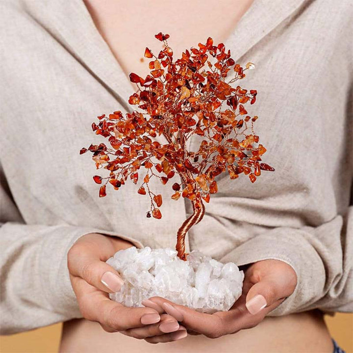 Olivenorma Soy Creativa - Árbol de Feng Shui de Cornalina