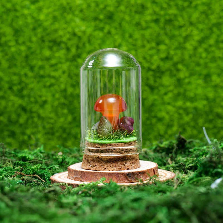 Cubierta de vidrio Olivenorma Decoración de hongo de cristal natural