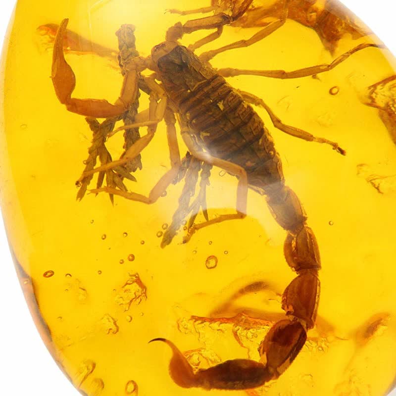 Colgante de ámbar báltico con inclusión de escorpiones y piedra de insecto