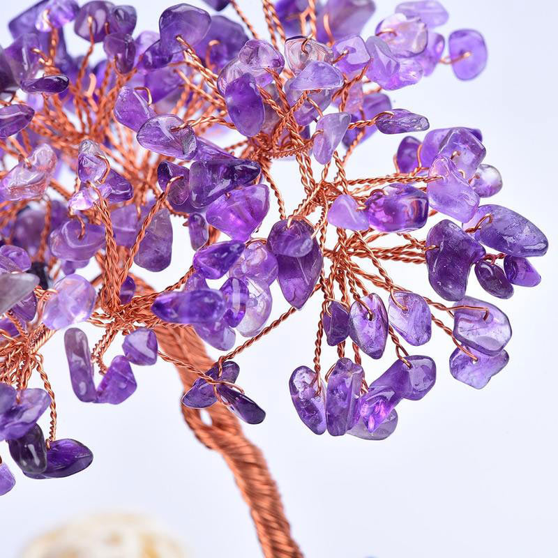 Meditación orgónica con amatista de Olivenorma, árbol de la purificación del Feng Shui