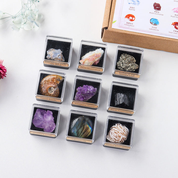 Juego de 9 cristales naturales Olivenorma en caja de regalo