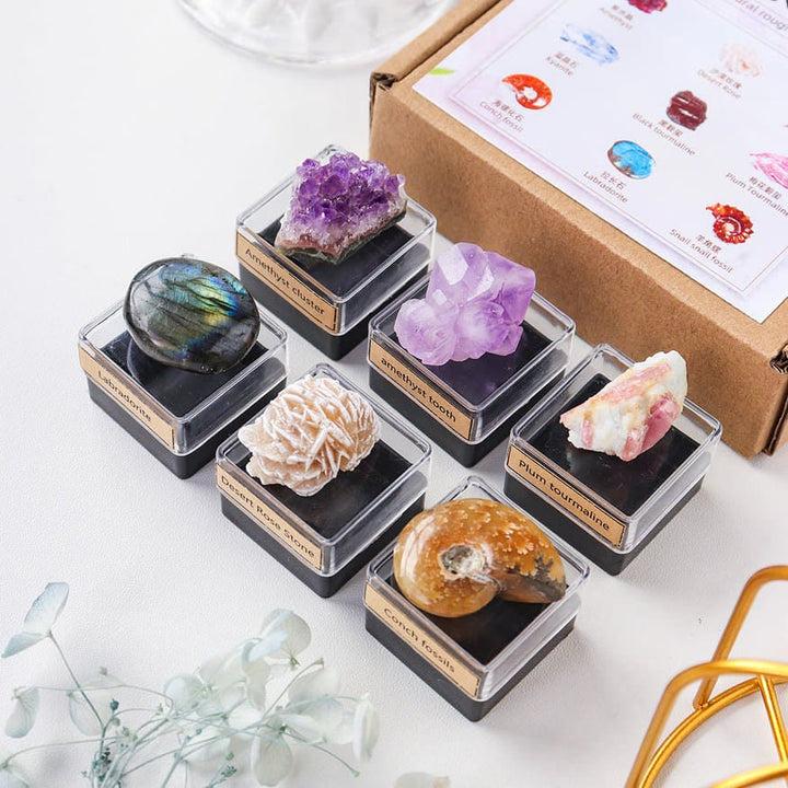 Juego de 9 cristales naturales Olivenorma en caja de regalo