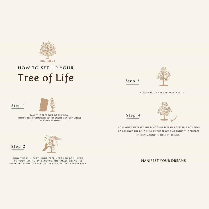 Olivenorma Soy Creativa - Árbol de Feng Shui de Cornalina