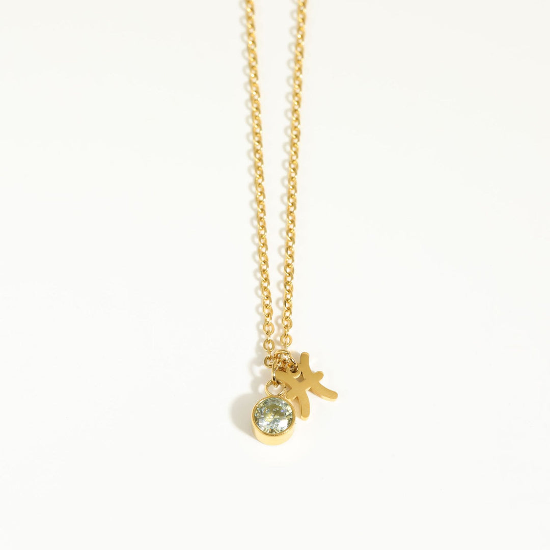 Collar de acero inoxidable con piedra natal y runa del zodíaco de Olivenorma