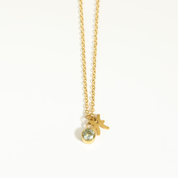 Collar de acero inoxidable con piedra natal y runa del zodíaco de Olivenorma