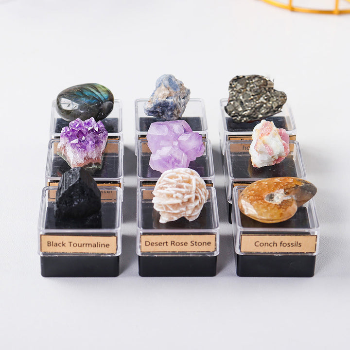 Juego de 9 cristales naturales Olivenorma en caja de regalo