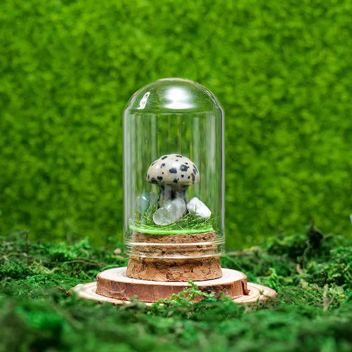 Cubierta de vidrio Olivenorma Decoración de hongo de cristal natural
